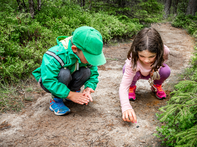 Fun Ways to Teach Kids About Water Preservation Through Outdoor Activities