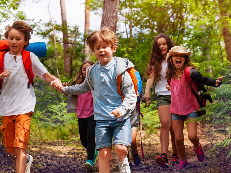 Why Every Child Should Attend a Nature Camp This Summer